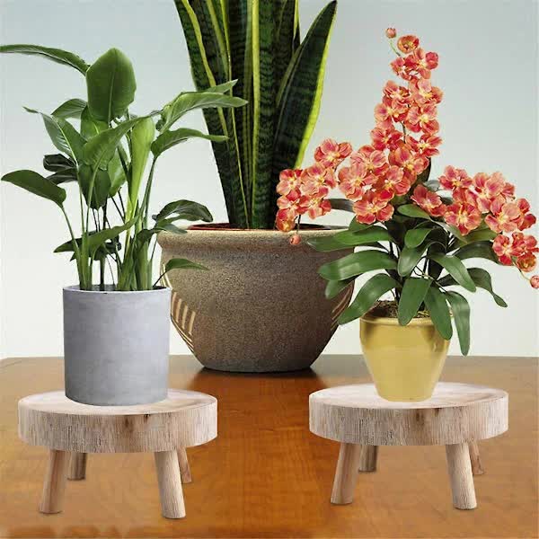 Wooden Plant Stand – Indoor Outdoor Bonsai Display, Paulownia Wood