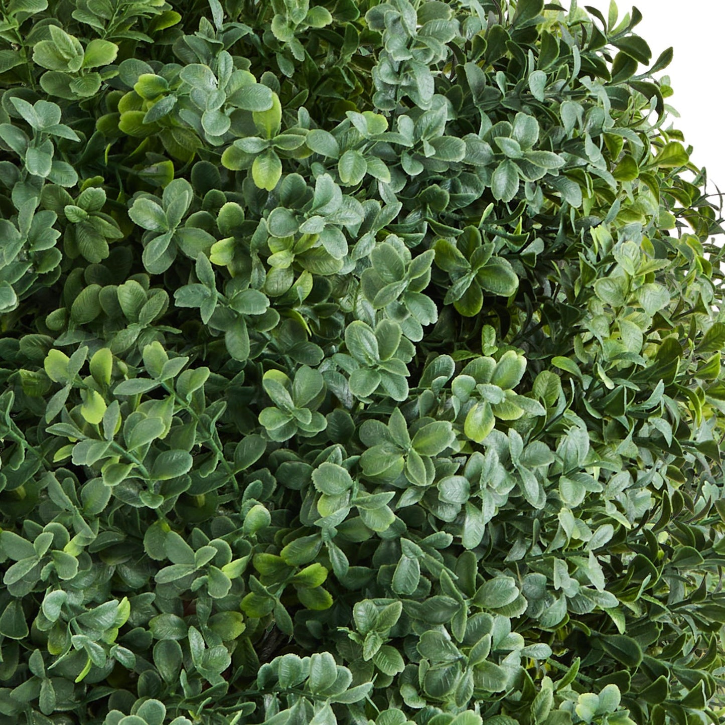 Artificial Topiary Boxwood Trees – Realistic Faux Shrubs, 27-Inch Set of 2