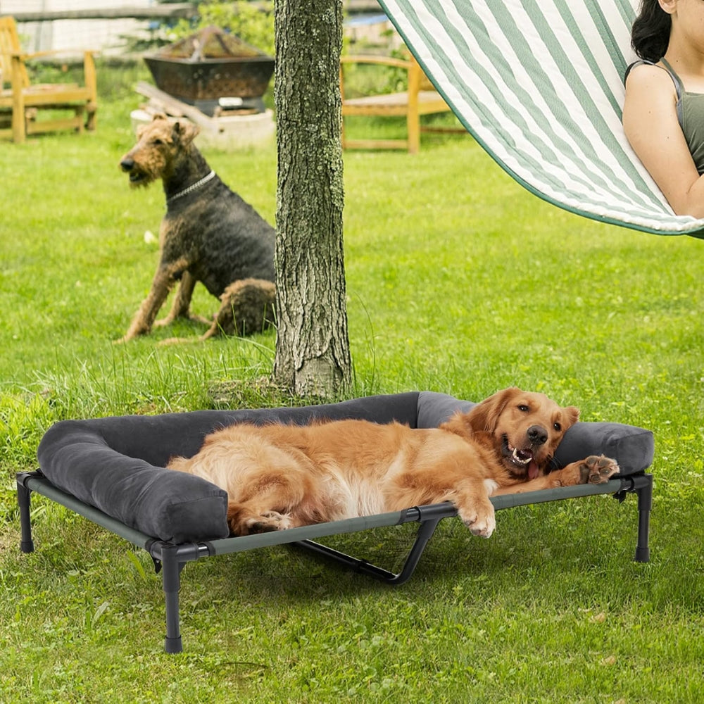 Elevated Dog Bed with Detachable Plush Bolster - Cooling, Grey, Multiple Sizes