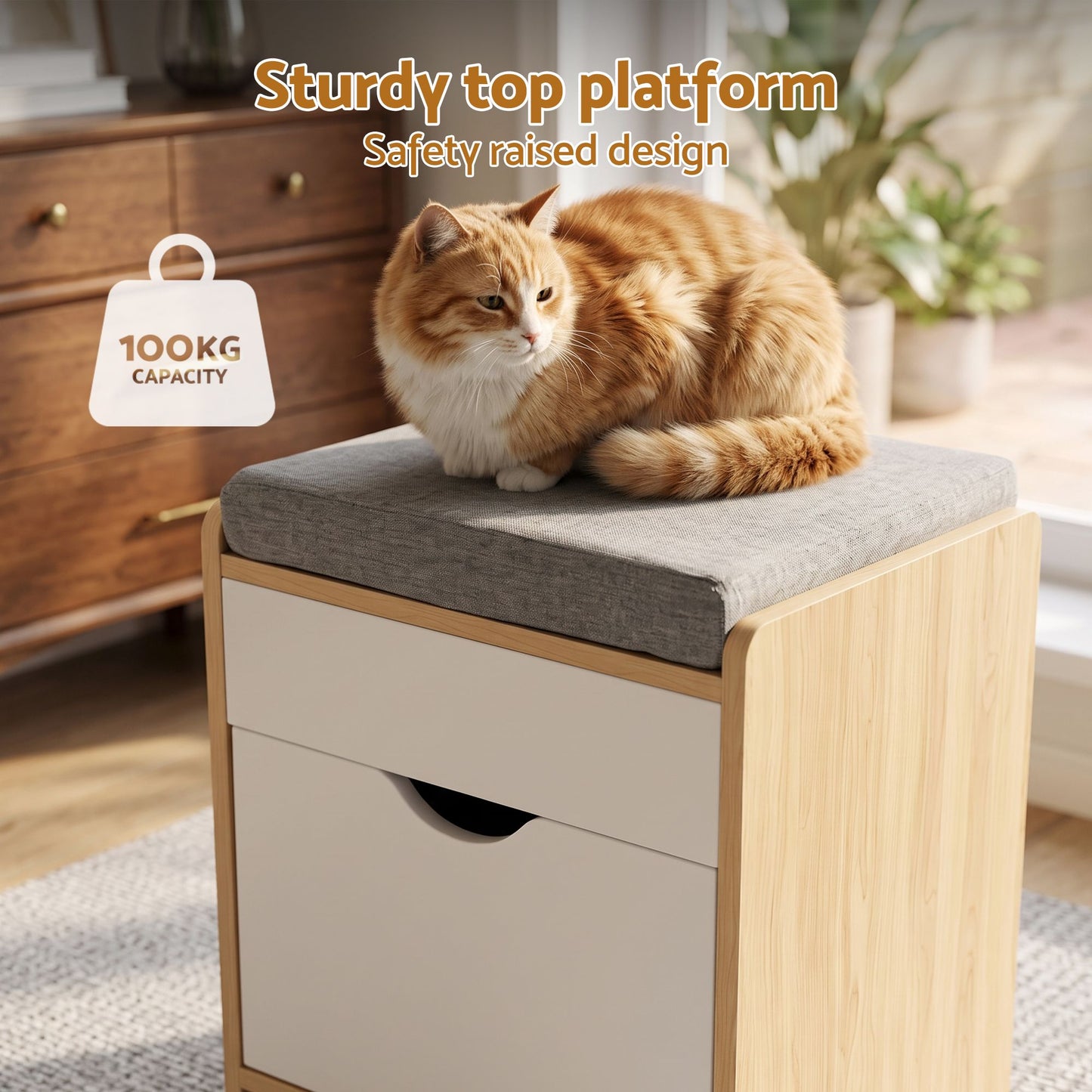 TWSC Storage Ottoman with Drawer 100kg Capacity Footrest Cushion Pine