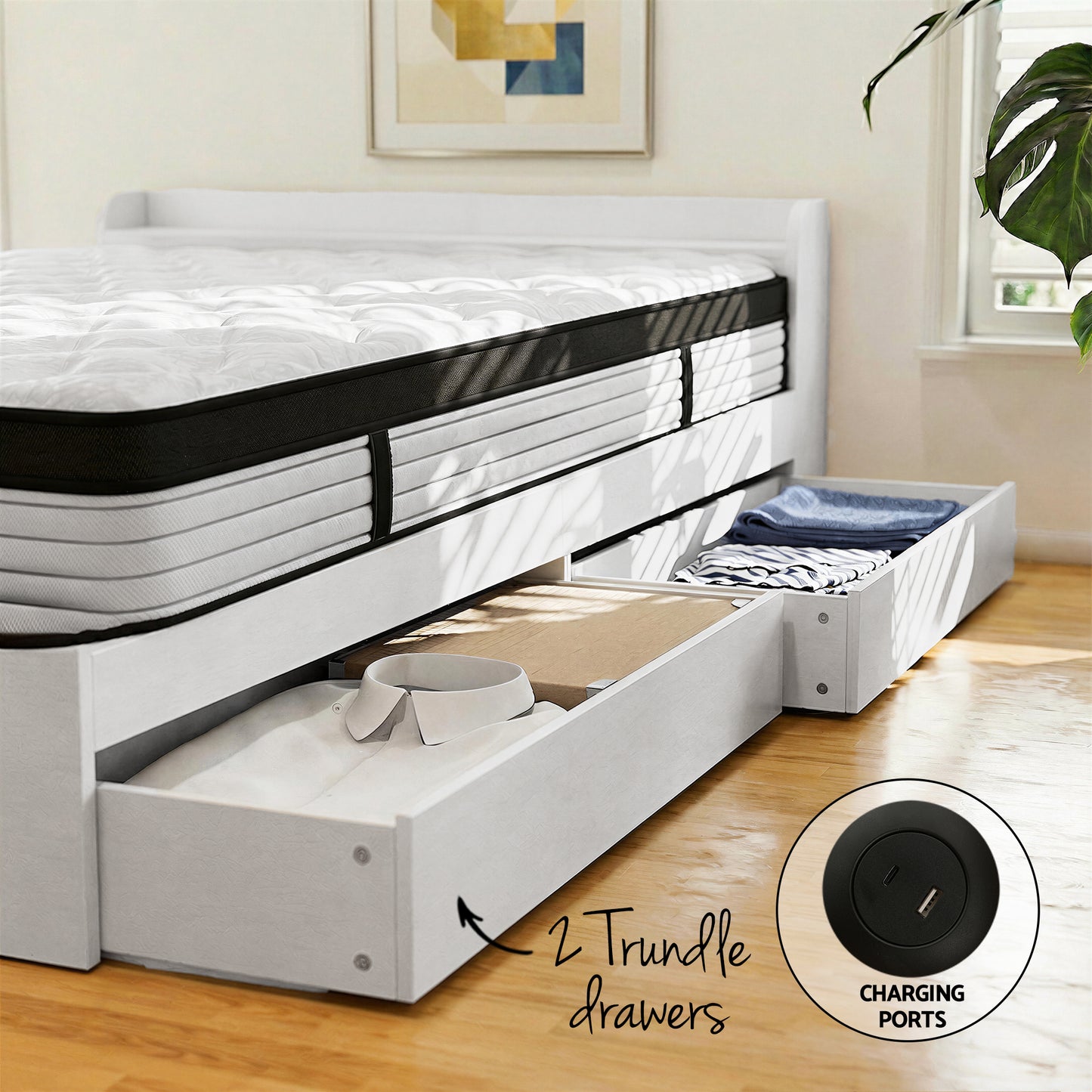 Giselle Single Mattress with 5-Zone Pocket Springs and Wooden Storage Bed Frame Set