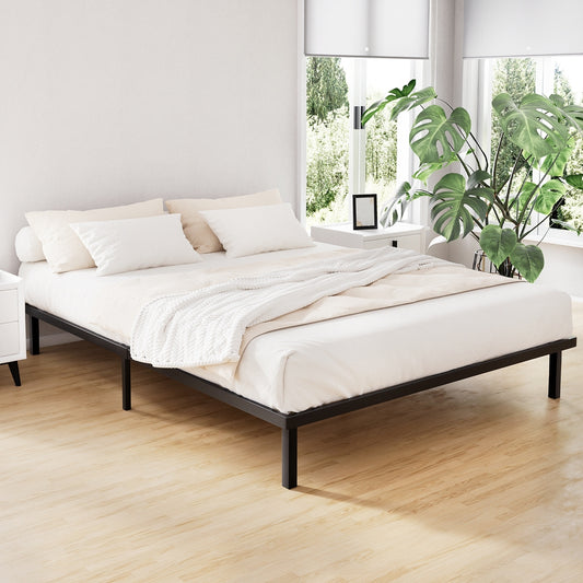 TWSC Bed Frame Queen Size Metal Bed Frame TED