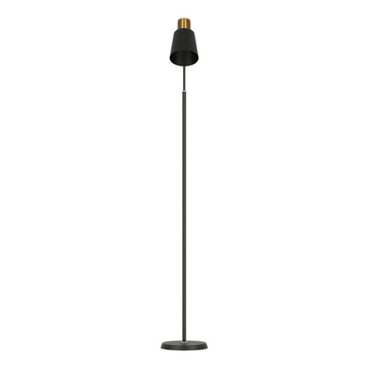 Black metal and plastic LED floor lamp with adjustable arm, modern design for home lighting by The Willow Stone Collective.