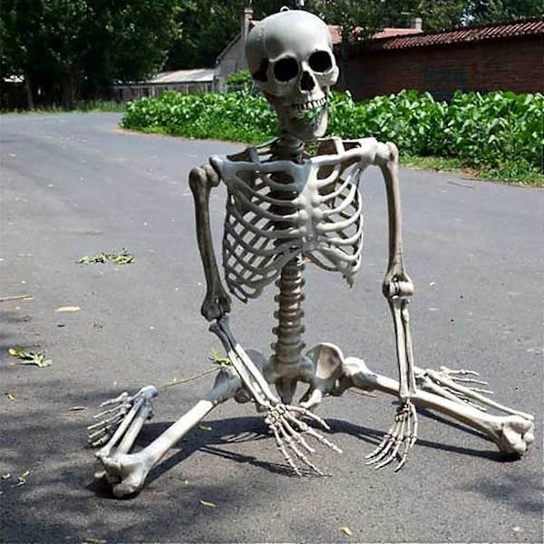 Halloween Skeleton Life Size, Full Body with Movable Joints, Human Legs, Scary Halloween Skeleton Decoration for Halloween Party, Haunted House Accessories