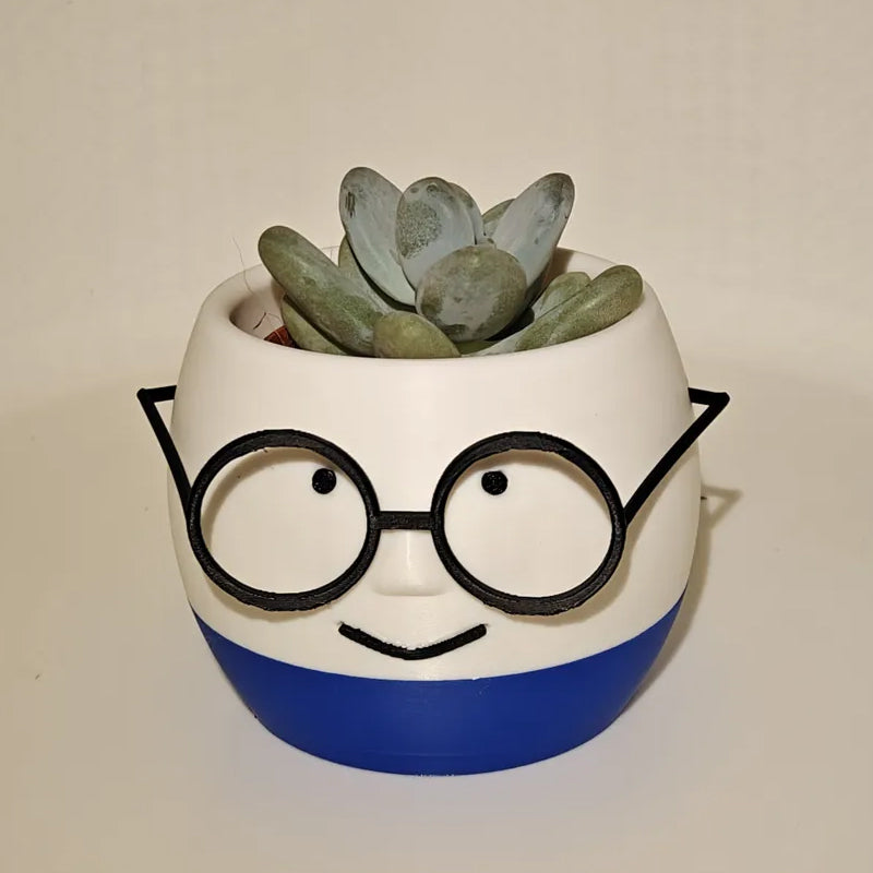 3D Printed Glass Flower Pot – White and Blue, Single Piece