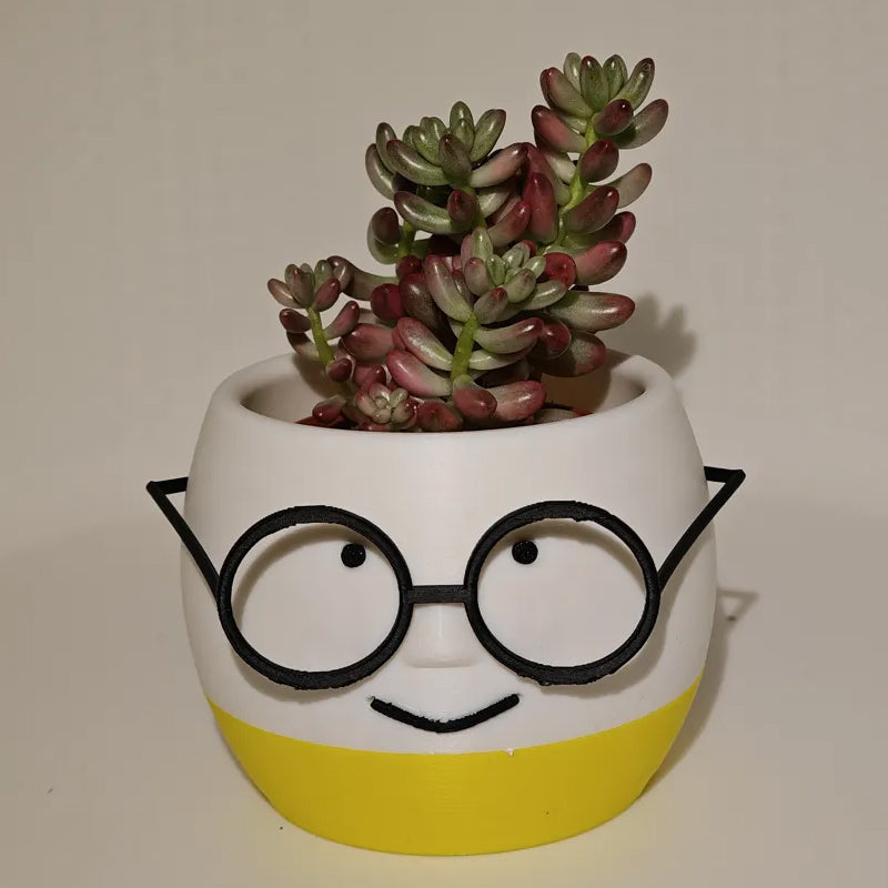 3D Printed Glass Flower Pot – White and Blue, Single Piece
