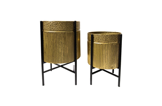 Rex Planter Set – Gold Foil with Black Stand, Set of 2