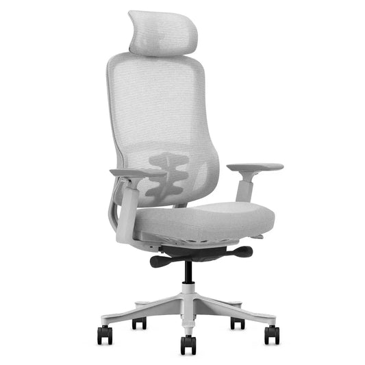 DM8 Ergonomic Office Desk Chair – Adjustable Comfort, White/Grey