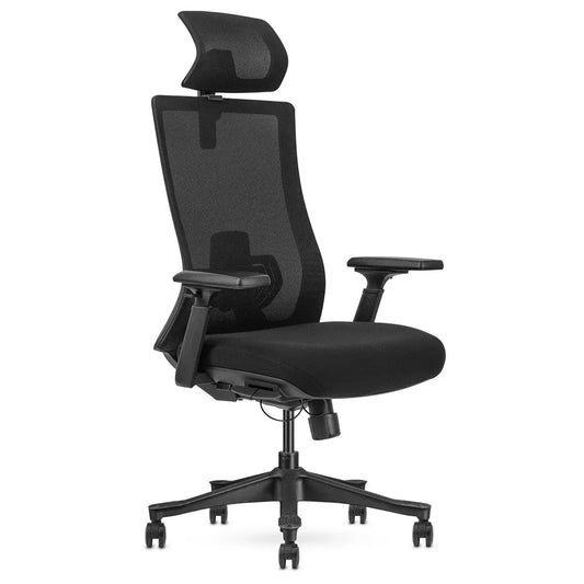 DM9 Ergonomic Office Chair – Mesh High Back, Adjustable Support
